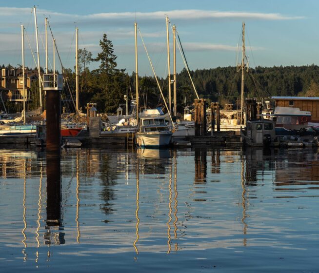 Several boats are docked at a marina, with masts reflecting in the calm water; trees and buildings are visible in the background under a partly cloudy sky.