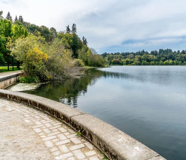 Curved stone walkway beside a calm lake, bordered by trees and greenery under a cloudy sky.