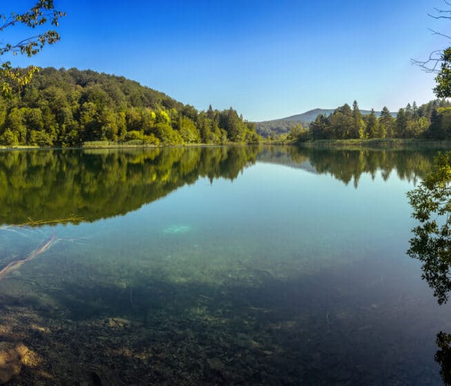 A calm lake surrounded by trees and hills under a clear blue sky, with reflections of the landscape visible in the water.