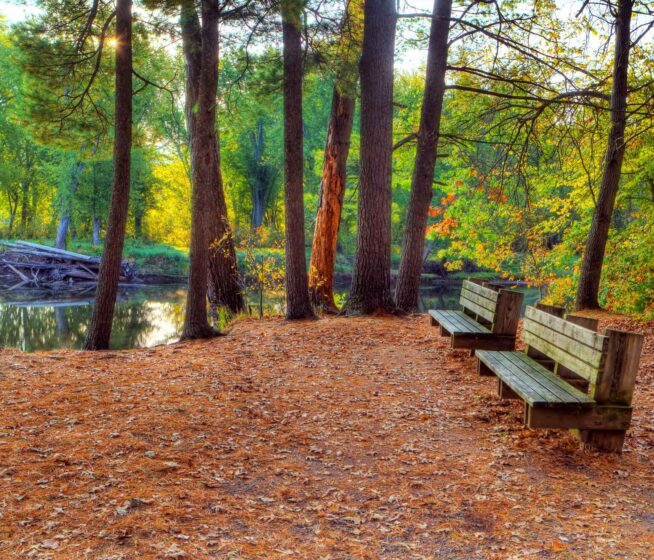 A serene park setting during autumn, featuring two wooden benches positioned beside a calm pond