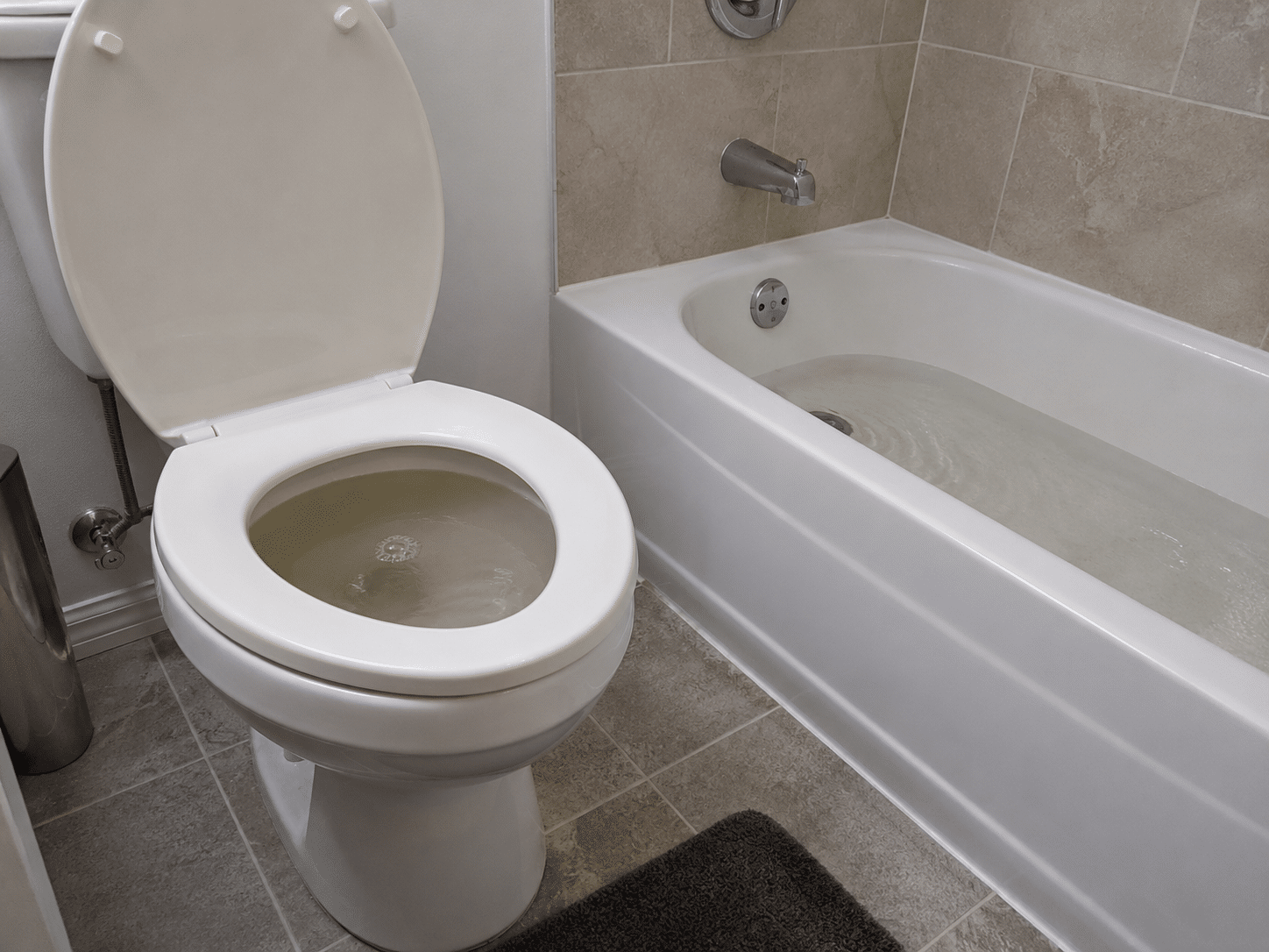 a toilet and bathtub both showing signs of water backup